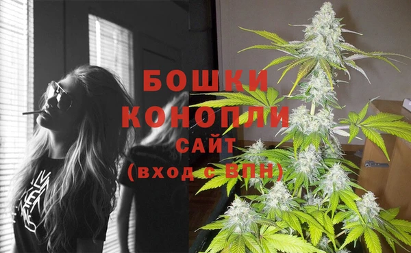 амф Богданович