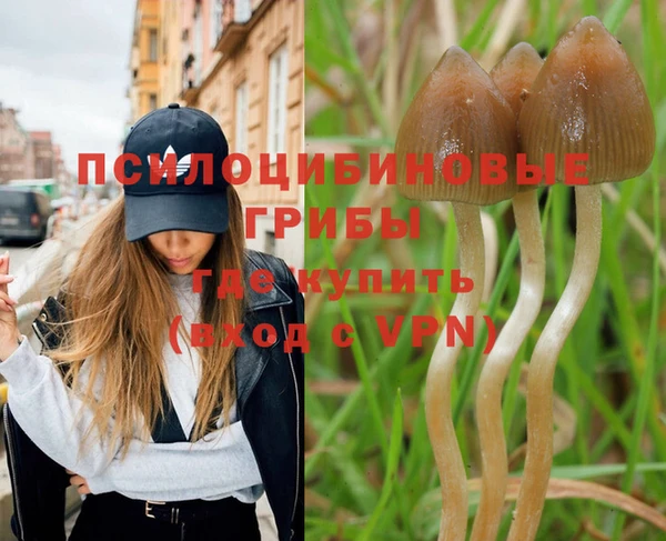 амф Богданович