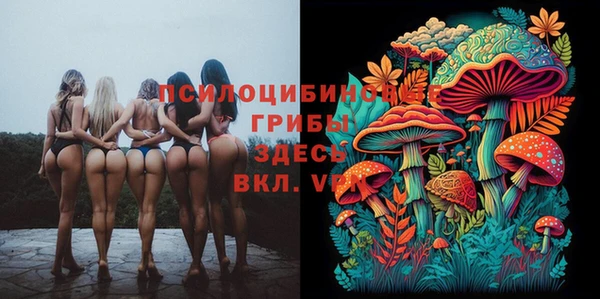 jwh Богородск