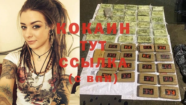 амф Богданович