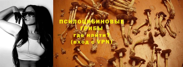 СК Беломорск